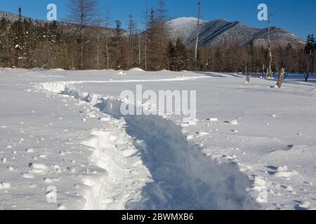 Mont Carrigain du bassin versant de Meadow Brook le long du sentier de la rivière Sawyer à Livermore, dans le New Hampshire, pendant les mois d'hiver. Banque D'Images