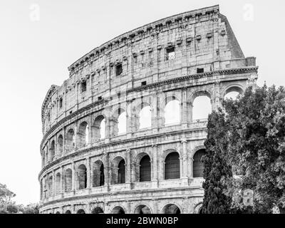 Colisée ou Colisée. Lever du soleil le matin à l'immense amphithéâtre romain de Rome, Italie image en noir et blanc. Banque D'Images