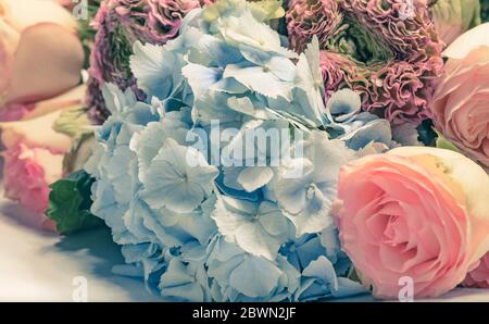 Différentes fleurs se mélangent sur fond blanc. Banque D'Images