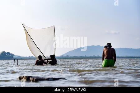 Pêche de pêcheur dans la rivière Brahmaputra Banque D'Images