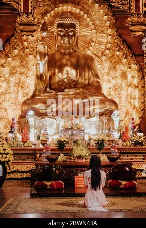 Fille bouddhiste priant devant un Bouddha doré Temple de bái ÄÃ­nh Banque D'Images