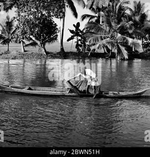 Homme avec la cigarette dans la bouche se tient dans le long bateau étroit et tire le filet de pêche vers le haut des eaux saumâtres de Les eaux de Kerala, tandis que les palmiers sont hauts en arrière-plan au bord de va Banque D'Images