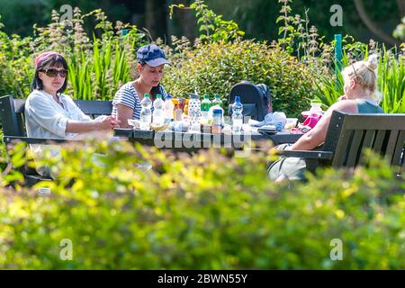 Bandon, West Cork, Irlande. 2 juin 2020. Les gens apprécient le parc Riverview de bandon cet après-midi, les températures atteignant 26 °C et le nombre de pollen était très élevé. Crédit : AG News/Alay Live News Banque D'Images