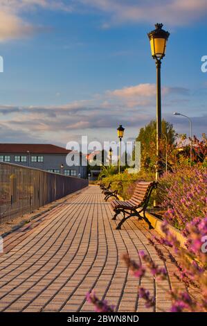 Patch avec des bancs et quelques lumières de rue entourées de lavande à Vilanova de Arousa Banque D'Images