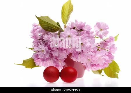 Bouquet de sakura Kanzan dans un vase brun près de la paire d'oeufs rouges de Pâques, isolés sur fond blanc. Idée de vacances de printemps et de cadeau Banque D'Images