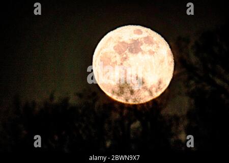 Pleine rose Super Moon qui s'élève au-dessus des montagnes Rocheuses, Salida, Colorado, États-Unis Banque D'Images