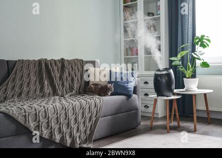 Humidificateur à vapeur froide ultrasonique pour la maison sur une petite table dans le salon Banque D'Images