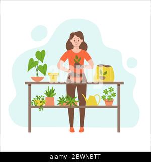 Femme transplantant une plante dans un autre pot. Concept de jardinage. Table pleine de plantes et un arrosoir. Illustration de Vecteur