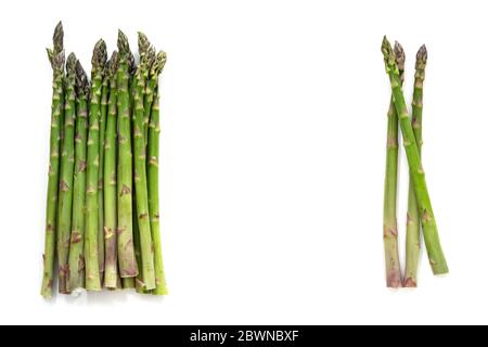 Deux petits pains d'asperges vertes organiques (Asparagus officinalis) et un espace de copie au milieu, isolés avec de petites ombres sur un fond blanc, élevé Banque D'Images