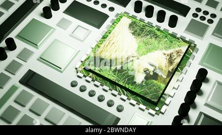 Génie génétique conceptuel, moutons, manipulation génétique animale expériences scientifiques, bio technologie avancée, animaux de ferme Banque D'Images