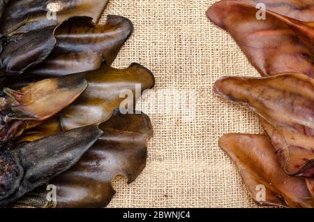 Un groupe d'oreilles de porc et de boeuf séchées sur le burlap. Gâteries à mâcher naturelles pour chiens. Production et commerce de produits pour animaux de compagnie. Vue de dessus. Copier l'espace. Banque D'Images