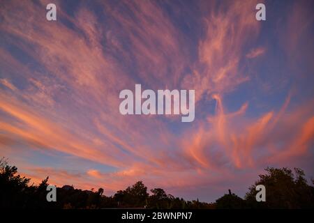 Coucher de soleil de Welgelegen, Stellenbosch Banque D'Images