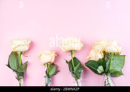 Magnifique rose beige frais coupé dans vase en verre sur fond rose. Composition florale minimaliste pour un cadeau romantique, plat Banque D'Images