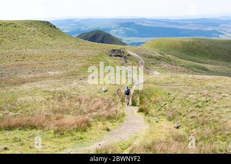 Les Fells de CAMPSIE - marcheur sur le sentier menant à un bâtiment en ruines et le sommet de Dumgoyne, Stirlingshire, Écosse, Royaume-Uni Banque D'Images
