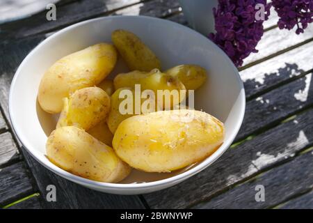Jeunes pommes de terre bio cuites au pelage et servies dans un bol sur une table de jardin en bois, point choisi Banque D'Images