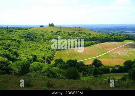 Vue de Coombe Hill à Beacon Hill dans les Chilterns Banque D'Images