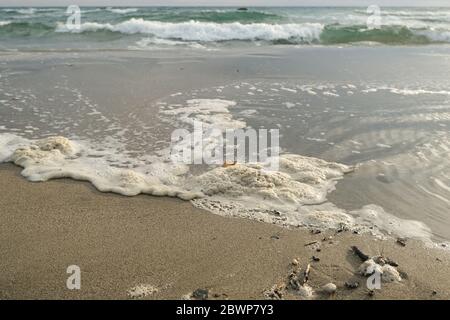 Mousse de mer polluée, rejet de déchets chimiques sur l'écosystème océanique, pollution de l'eau Banque D'Images