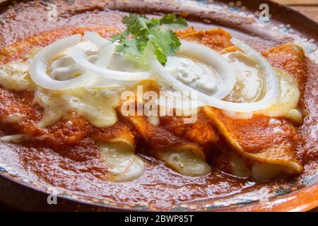 Enchiladas rouges mexicaines traditionnelles au fromage Banque D'Images