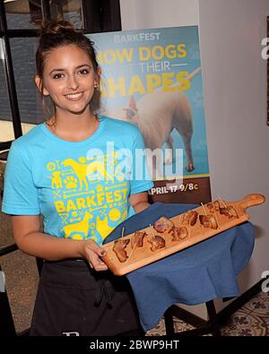 9 avril 2016, West Hollywood, Californie, États-Unis: Atmosphère au NAT Geo WILD 2nd Annual Barkfest à l'hôtel Palihouse le 9 avril 2016 à West Hollywood, Californie. (Image crédit : © Billy Bennight/ZUMA Wire) Banque D'Images