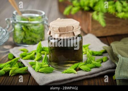 Bouteille de perfusion, chlorophylle liquide ou boisson des bourgeons et aiguilles de sapin, pot de pointes d'épicéa et caisse en bois de brindilles de sapin. Banque D'Images