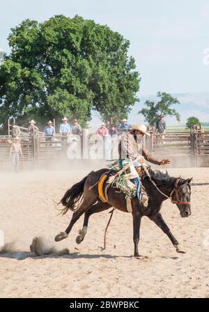 Rodeo [les légendes seront complètes après le téléchargement] Banque D'Images