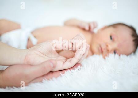 Nouveau-né bébé garçon tenant le pouce de maman. Main de la mère reposant dans la main du papa. Mains en évidence. Banque D'Images