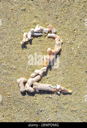 Le soleil blanchi des morceaux morts de corail beachcomber en forme de numéro deux (2) sur la plage de la Grande barrière de corail Banque D'Images