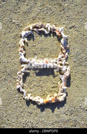 Le numéro huit (8) a été aménagé en petits morceaux de corail blanc blanchi au soleil sur une plage de la Grande barrière de corail de Heron. Banque D'Images