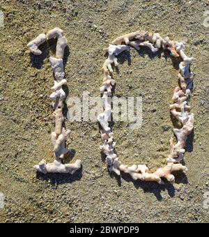 Le numéro 10 (dix) s'étendait sur une plage de sable en morceaux de corail blanc blanchi au soleil, mort, sur l'île de la Grande barrière de corail de Heron. Banque D'Images