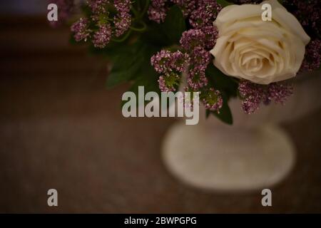 Image d'arrière-plan sombre floue avec des couleurs artificielles dans le vase, se concentrant sur les petites fleurs. Banque D'Images