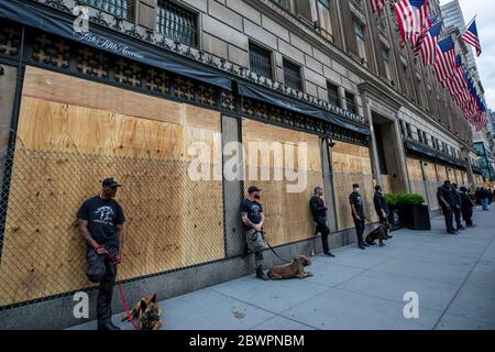 Les personnes avec des chiens sont gardiennes devant Saks Fifth Avenue tandis que les manifestants défilent de Bryant Park à la Trump Tower contre la brutalité policière et en faveur du Black Lives Matter Movement à New York, NY, le 2 juin 2020. Des manifestations ont lieu dans tout le pays après la mort de George Floyd alors qu'il était en garde à vue à Minneapolis, a été filmé par un passant. Un couvre-feu a été fixé aujourd'hui à 8:00 à New York, après que le couvre-feu d'hier, 11:00, a été fixé pour la première fois en plus de soixante-dix ans. (Photo de Christopher Lazzaro/Alive Coverage/Sipa USA) Banque D'Images