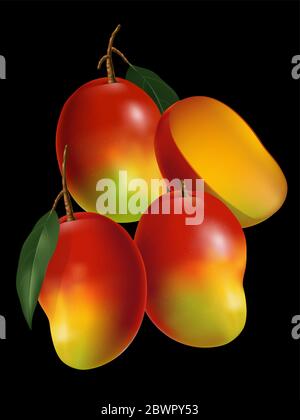 Scénario Mango réaliste Illustration avec feuille et mangue en tranches sur fond noir Illustration de Vecteur