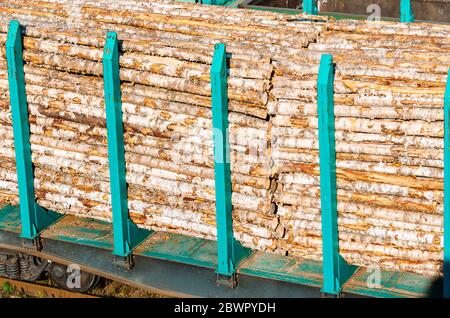 Wagon de fret d'un train sur un chemin de fer, bois de cargaison, troncs d'arbres Banque D'Images