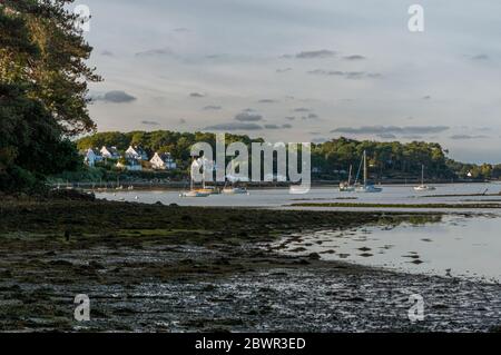 Larmor-Baden de l'île Bender dans le golfe du Morbihan. France. Banque D'Images