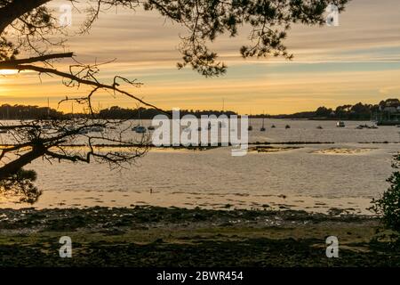 Bateaux sur l'île Bender dans le golfe du Morbihan. France. Banque D'Images