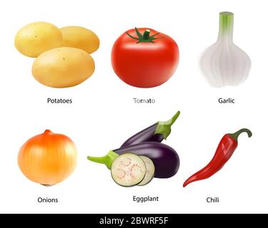 Collection de légumes colorés sur fond blanc, avec un style réaliste. Tomate, ail, pommes de terre, oignons, aubergine, poivrons. Signe, symbole, icône Illustration de Vecteur