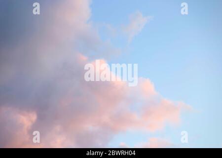 Nuages roses tendres dans la texture bleu du ciel. Banque D'Images