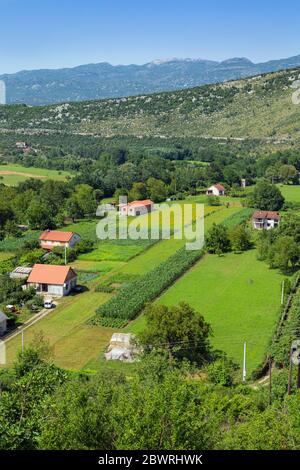 Le Monténégro. Paysage rural entre Bogetici et Niksic. Les exploitations agricoles, l'agriculture. Banque D'Images