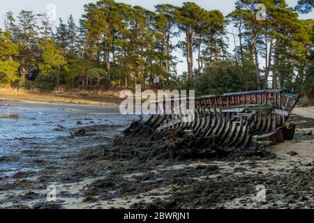 Cimetière de bateaux sur l'île Bender dans le golfe du Morbihan. France. Banque D'Images