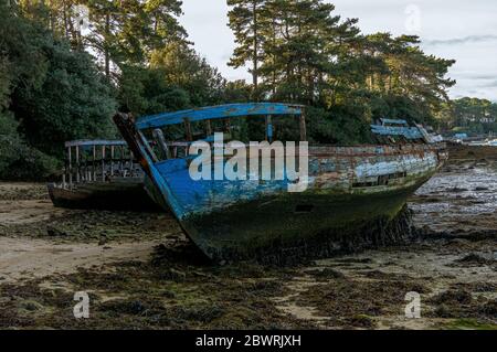 Cimetière de bateaux sur l'île Bender dans le golfe du Morbihan. France. Banque D'Images