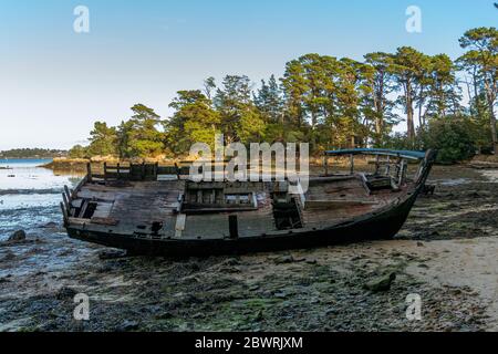 Cimetière de bateaux sur l'île Bender dans le golfe du Morbihan. France. Banque D'Images