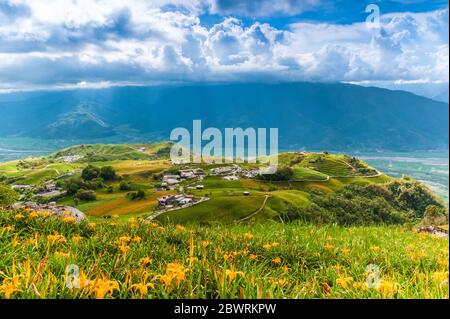 Ferme de fleurs de la muguet à Liushidan Mountain à Hualien, Taïwan Banque D'Images