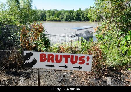 Panneau pour Brutus, un célèbre crocodile d'eau salée ou un crocodile d'Estuarine (Crocodylus porosus) lors d'une croisière de saut aux crocodiles sur la rivière Adelaide, Norther Banque D'Images