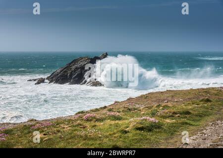 Vagues sauvages s'écrasant au-dessus de Goose Island au large de la côte de Pentire point East à Newquay, en Cornwall. Banque D'Images