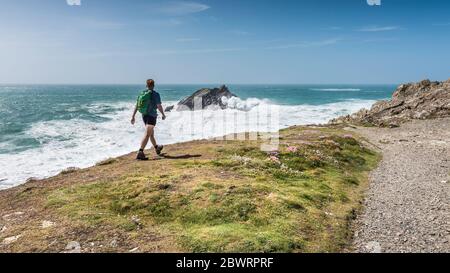 Une vue panoramique de marcheur regardant les vagues sauvages s'écraser sur Goose Island alors qu'il marche le long de la côte de Pentire point East à Newquay, dans les Cornouailles. Banque D'Images