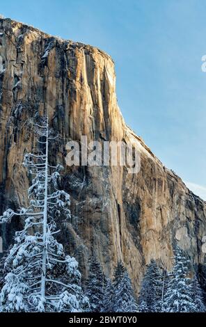 Premier feu sur le parc national El Capitan Yosemite, CA USA World Location.