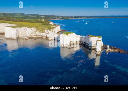 Falaises de craie Old Harry Rocks Isle of Purbeck à Dorset, sud de l'Angleterre. Banque D'Images