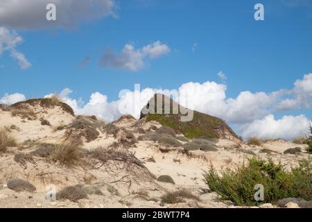 Italie du Sud le long de la côte du Salentino, un paysage marin encore intact fait de hautes dunes de sable et de broussailles méditerranéennes. Banque D'Images