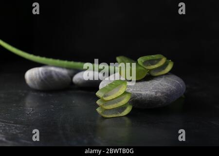 souffleur d'aloe vera frais avec pierres spa sur fond sombre Banque D'Images