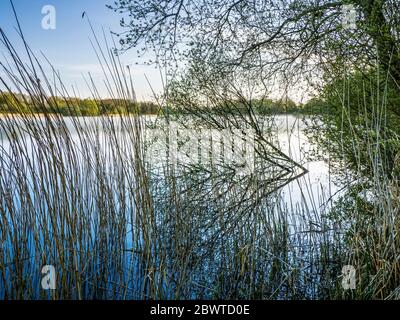 Un matin ensoleillé de printemps à Coate Water à Swindon. Banque D'Images